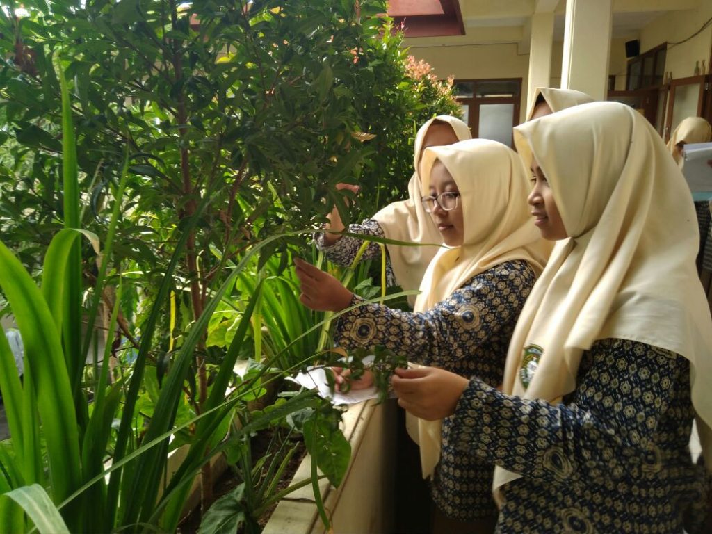 Oleh Bapak Yudi (Matematika - SMP)
